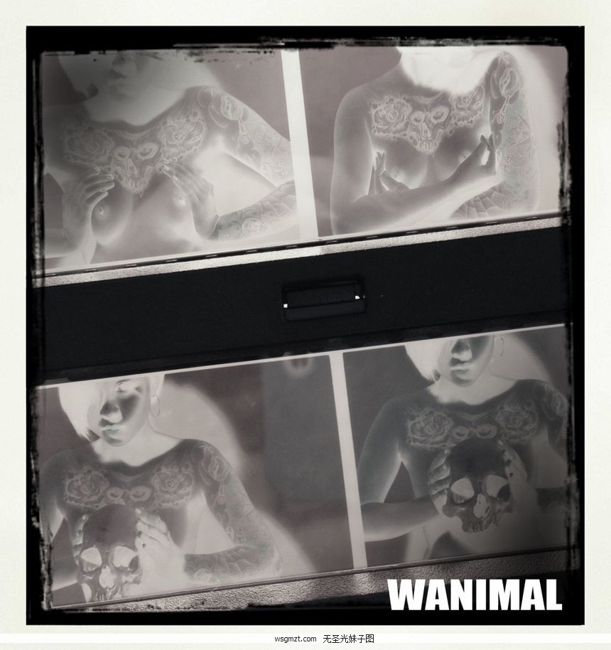 ȫ WANIMALƷ [107P] ʥͼ 9ҳ